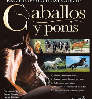 caballos y ponis.indd
